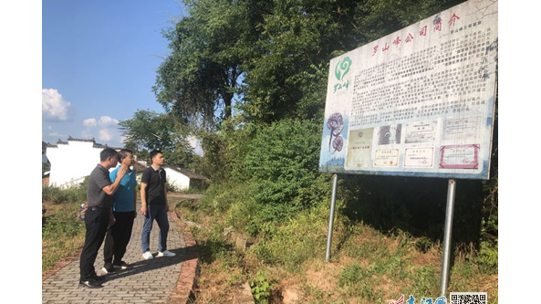 江西省撫州市場監督管理局赴崇仁羅山峰靈芝種植基地調研