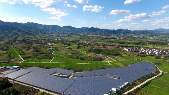 浙江武义打造“菌光互补”香菇生产示范基地