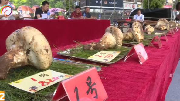 中國·南華2022年野生菌美食文化節在楚雄南華順利舉行