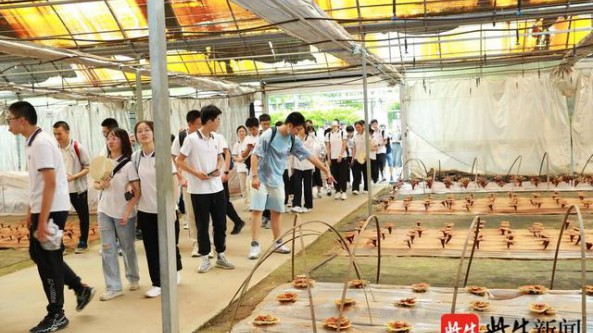 中华灵芝文化主题云课堂在江苏安惠生物科技公司蕈菌园正式开课