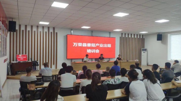 山西省萬榮縣召開香菇產業出菇管理培訓會 打造品牌效應