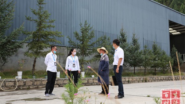 四川雅江县：精准监督 为松茸产业发展撑起“保护伞”