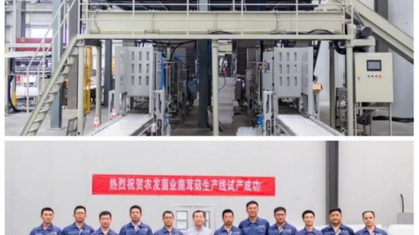 山東農發菌業新建鹿茸菇工廠化生產線成功試產