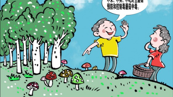 北京進入蘑菇中毒高發(fā)期 市疾控提醒：勿采勿食野生蘑菇