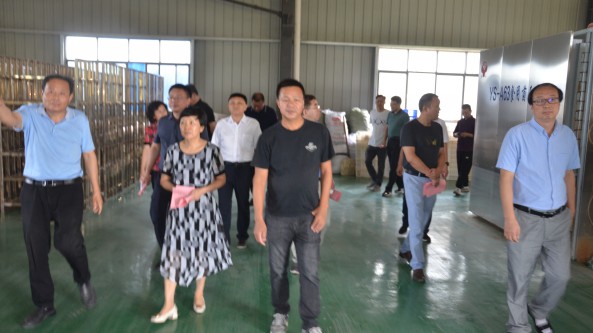 湖北省随州市政协副主席调研食用菌产业发展情况