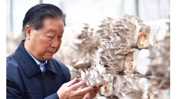 祝賀！福建農林大學國家菌草工程技術研究中心首席科學家林占熺當選中共二十大代表