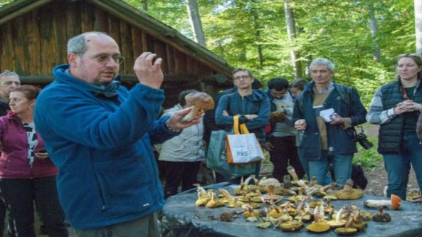 法国：真菌专家吉勒斯在野外举办“真菌在生态系统中的重要性”活动