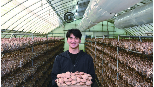 韩国：年轻菇农种植香菇发家致富