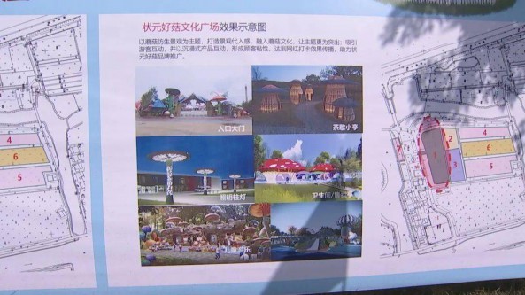 江苏姜堰：“菇菇”部落主题体验科普园区 预计10月底对外开放