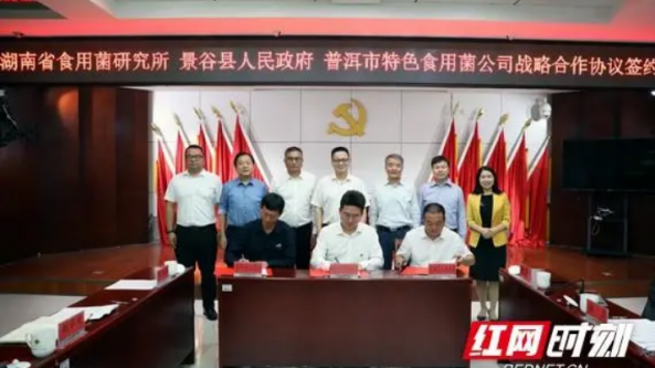 湖南：食用菌研究所与云南普洱市签订战略合作框架协议
