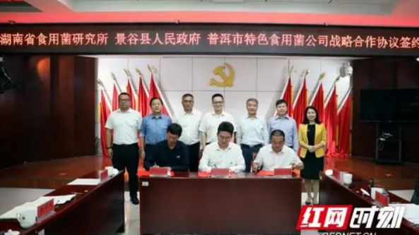 湖南：食用菌研究所與云南普洱市簽訂戰略合作框架協議