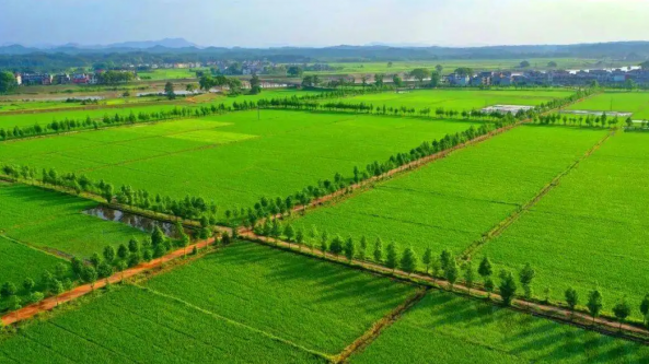 五部門發(fā)文！在有條件的地區(qū)試點整區(qū)域推進(jìn)高標(biāo)準(zhǔn)農(nóng)田建設(shè)工作