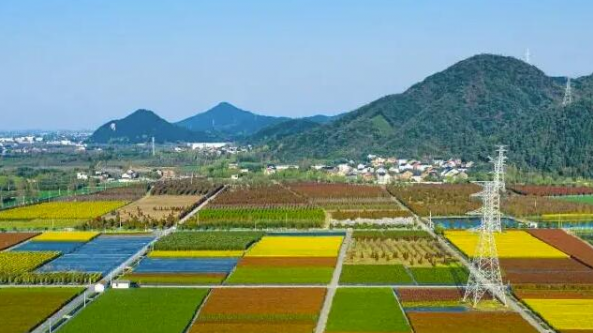 農業農村部辦公廳印發《農業現代化示范區數字化建設指南》