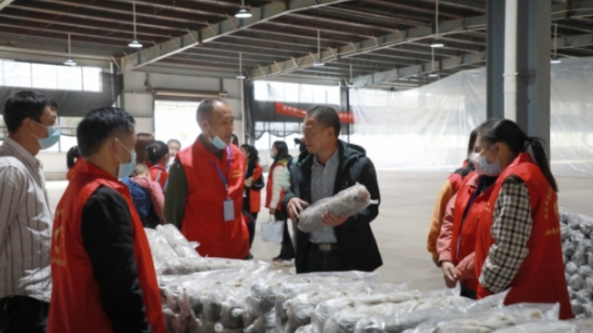 贵州：兴义市开展培训班 帮助搬迁群众学习食用菌种植技术