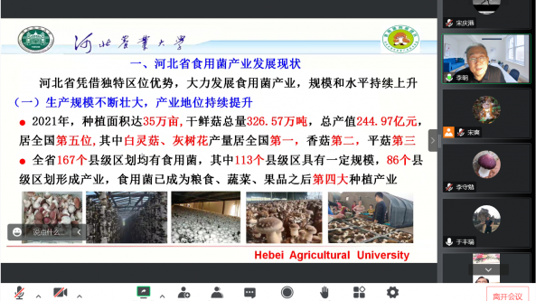 “北京--河北食用菌创新团队线上交流会”成功举办