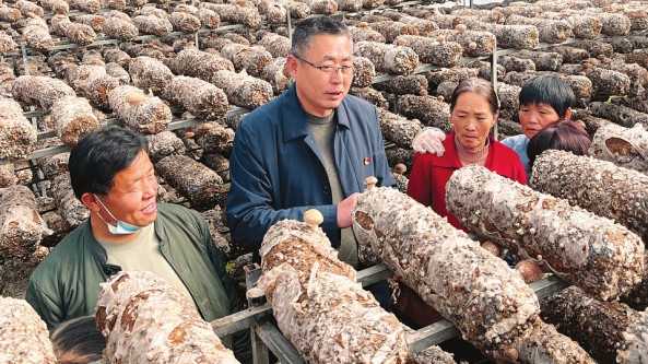 山西：万荣县皇甫乡建成香菇生产交易中心