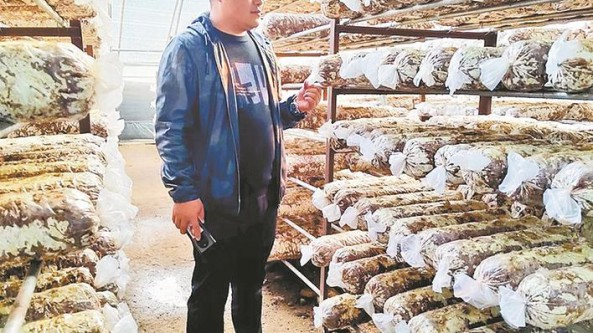 河北遷西縣人從眾食用菌農(nóng)民專業(yè)合作社張振福：小蘑菇打開鄉(xiāng)親們致富門路