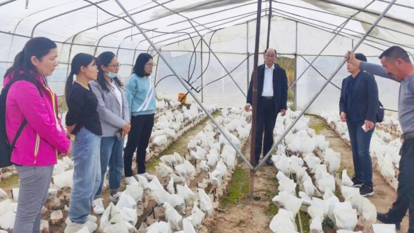 山西：中国作物学会在临、岚两县圆满完成“2021-2022食用菌引种示范增产增收项目”的