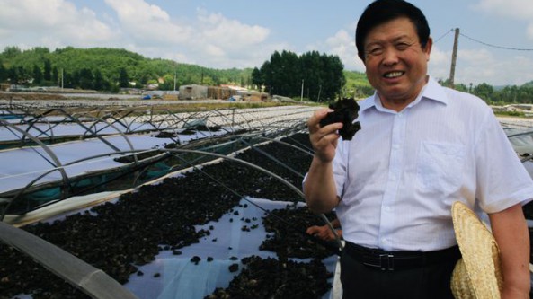 吉林省农业农村厅推荐菌物学家李玉入选2022年度“三农”人物候选人