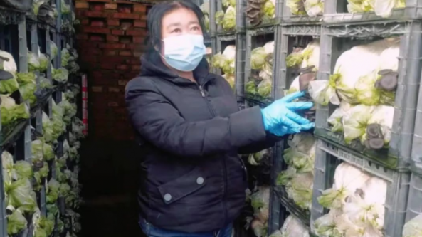 黑龙江：齐齐哈尔昂昂溪区发展反季节食用菌种植 带动当地村民增收致富