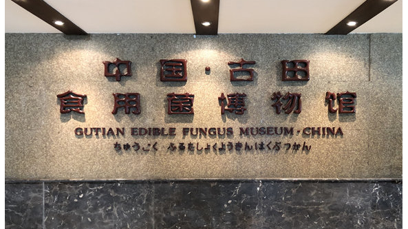 福建：中國·古田食用菌博物館入選2023年福建省優秀科普教育基地建設項目名單