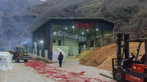 陜西：佛坪縣首座智能化食用菌凈化生產車間投產使用