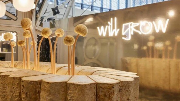 英国：比利时工作室的菌丝体吧台作品入围“欧洲·伦敦酒店设计博览会”