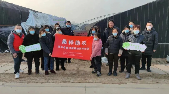 河南：清豐縣舉行“桑梓助農”食用菌公益示范基地揭牌儀式