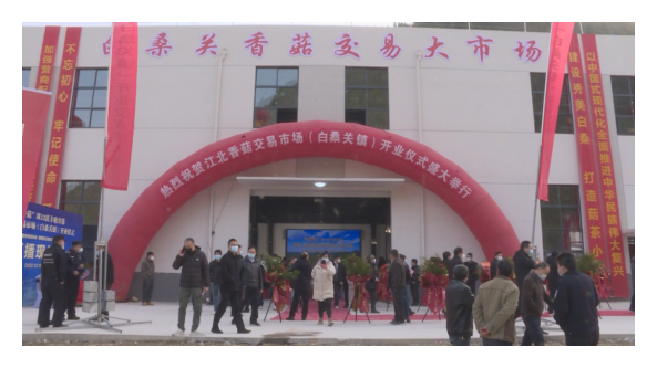湖北：十堰市鄖陽(yáng)江北香菇交易市場(chǎng)開(kāi)業(yè)