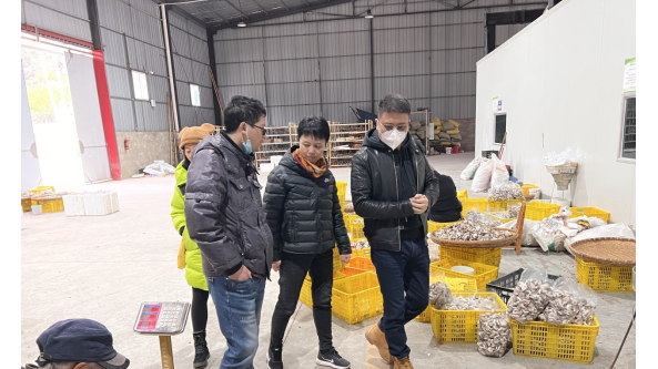 四川省食用菌专家到金堂县开展产业调研和交流合作