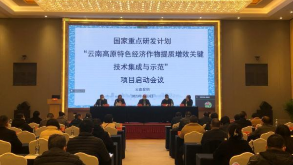 “云南高原特色經濟作物提質增效關鍵技術集成與示范”啟動，涉及食用菌