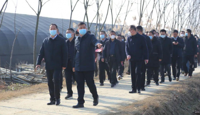 河南光山县十里镇举行食用菌产业现场观摩会