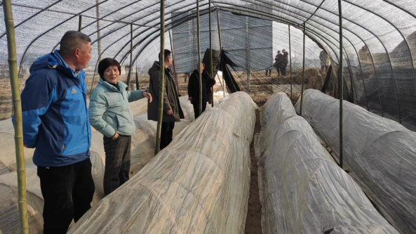 湖北:房縣建設品種鑒定及展示示范基地，推動羊肚菌健康發展?