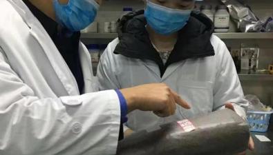 四川：什邡湔底鎮(zhèn)種植黃背木耳促產(chǎn)業(yè)發(fā)展