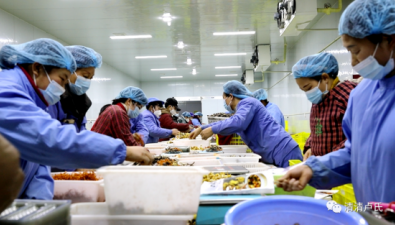 河南:三門峽食用菌禮盒產品受青睞 日銷幾千盒