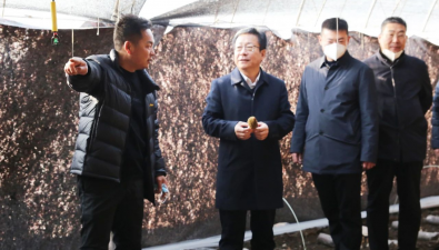 遼寧省北票市委書記丁文舉調研當地羊肚菌特色產業發展情況