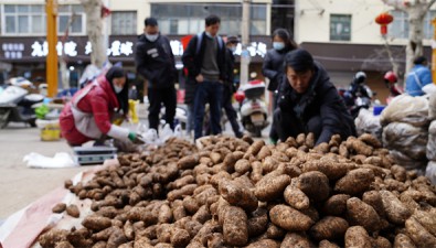 云南：彝良做强天麻产业实现产值36亿元