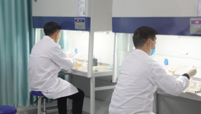 河南西峽：院縣共建技術幫扶 食用菌產業走上高效綠色發展之路