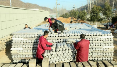 河南：洛阳市小香菇“香”飘增收致富路