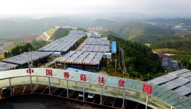 2023年度湖北特色小鎮創建名單公布！鄖陽區食用菌小鎮榜上有名！