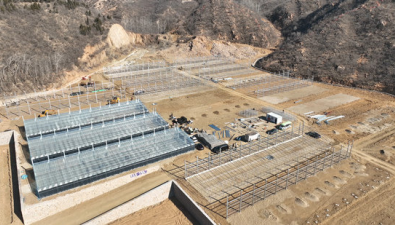 河北平山：投資3600萬元村級食用菌基地即將投產