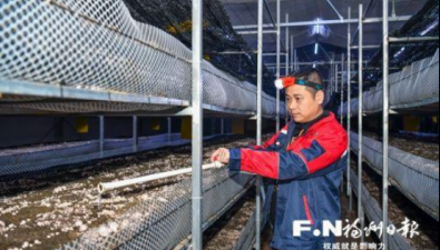 福建：福州市首個紅托竹蓀智慧生產項目落地馬尾瑯岐