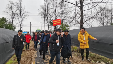 江西：召开“稻-稻-菌”生产模式栽培示范现场会