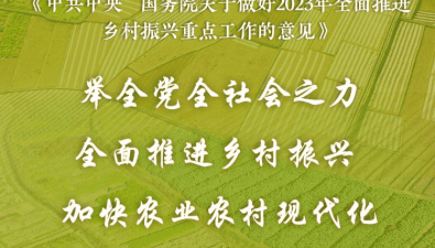 2023年中央一號文件發(fā)布，要點搶先看