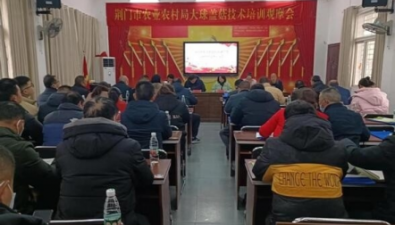 湖北荆门市成功举办大球盖菇生产技术培训观摩会