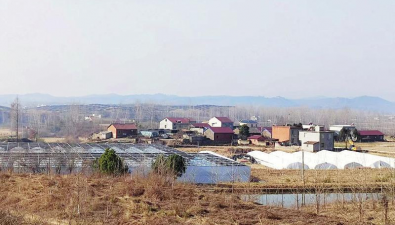 湖北：隨縣雄峰村香菇基地擴建增能
