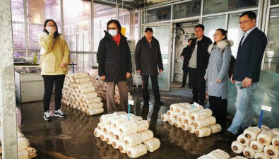 譚琦一行赴北京市農林科學院調研交流