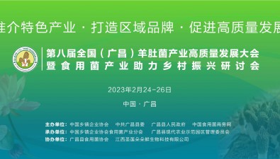 剧透！全国羊肚菌产业调研报告关键数据即将发布