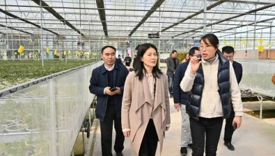 農業農村部農產品質量安全監管司副司長方曉華一行考察壽仙谷