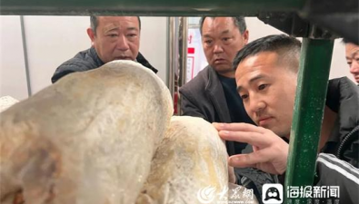 山東濟(jì)寧兗州區(qū)小孟鎮(zhèn)：“六大措施”助推食用菌產(chǎn)業(yè)快速發(fā)展